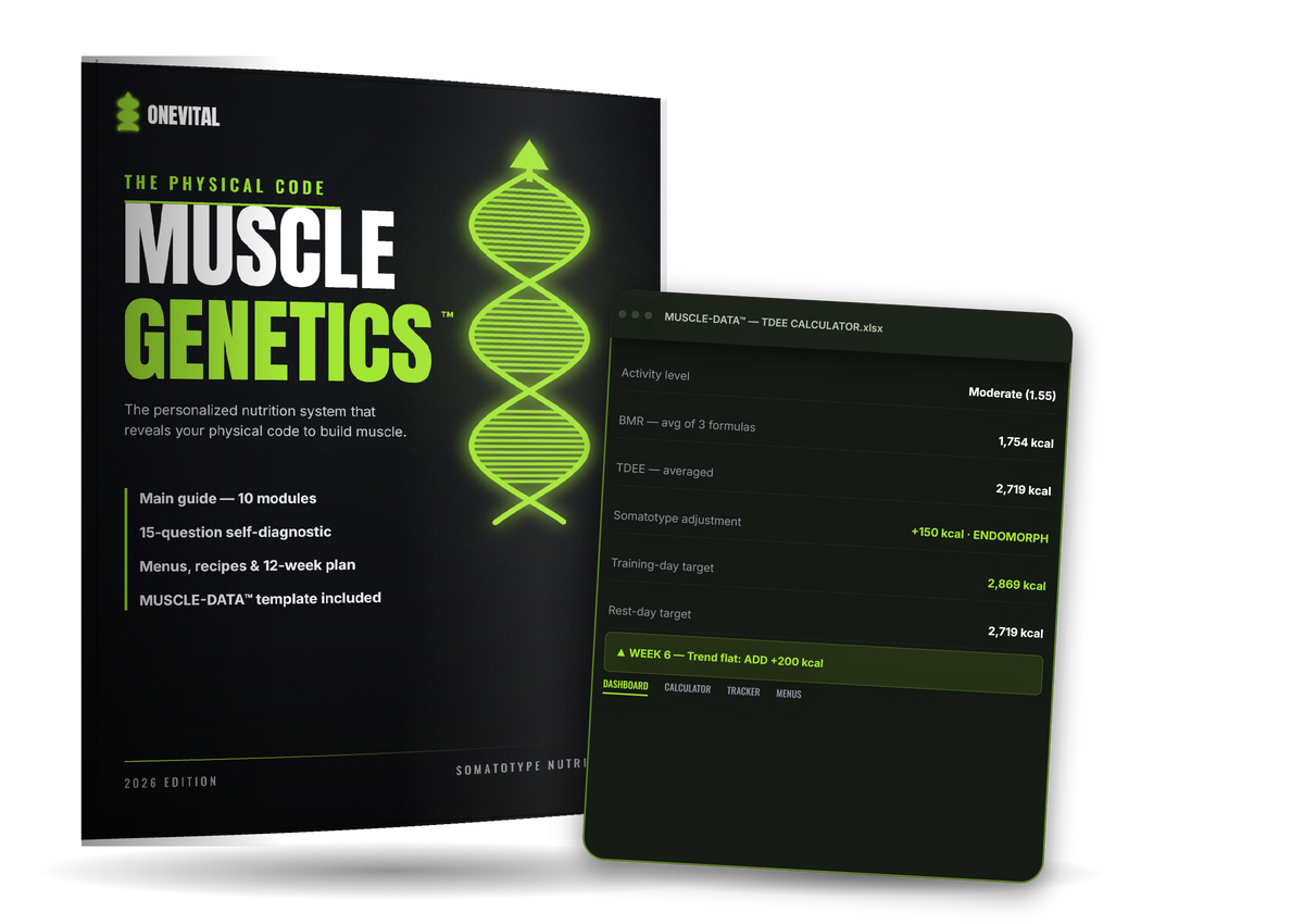 ECTO-MESO-ENDO™: The Genetic Map of Your Muscle Gain